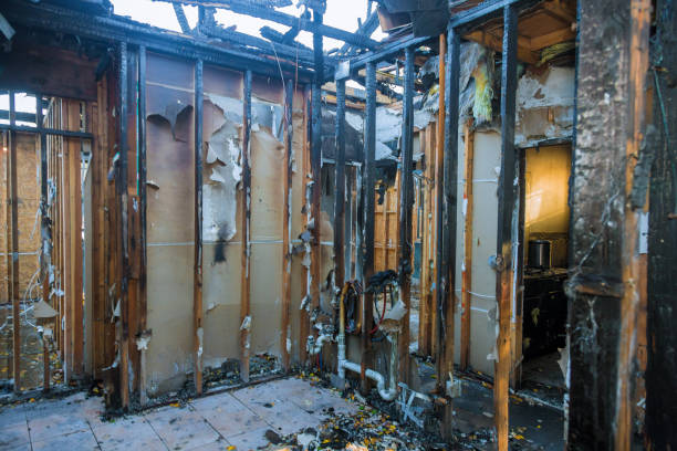Professional Fire Damage Removal technician working in Norwood, OH