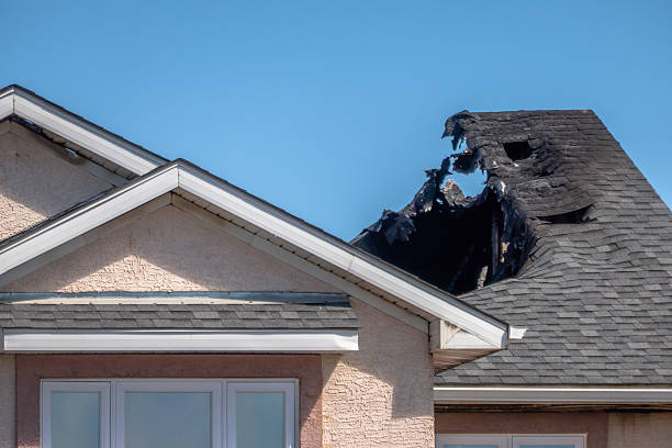 Top rated local Fire Damage Removal specialists in Norwood, OH